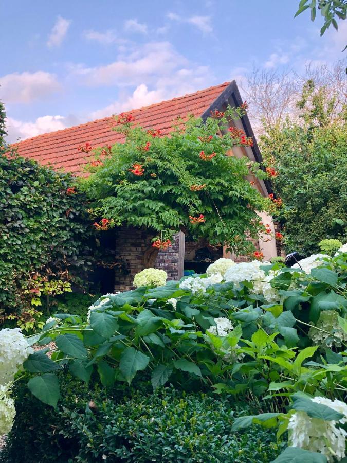 B&B Helena'S Hoeve Buggenum Exteriér fotografie